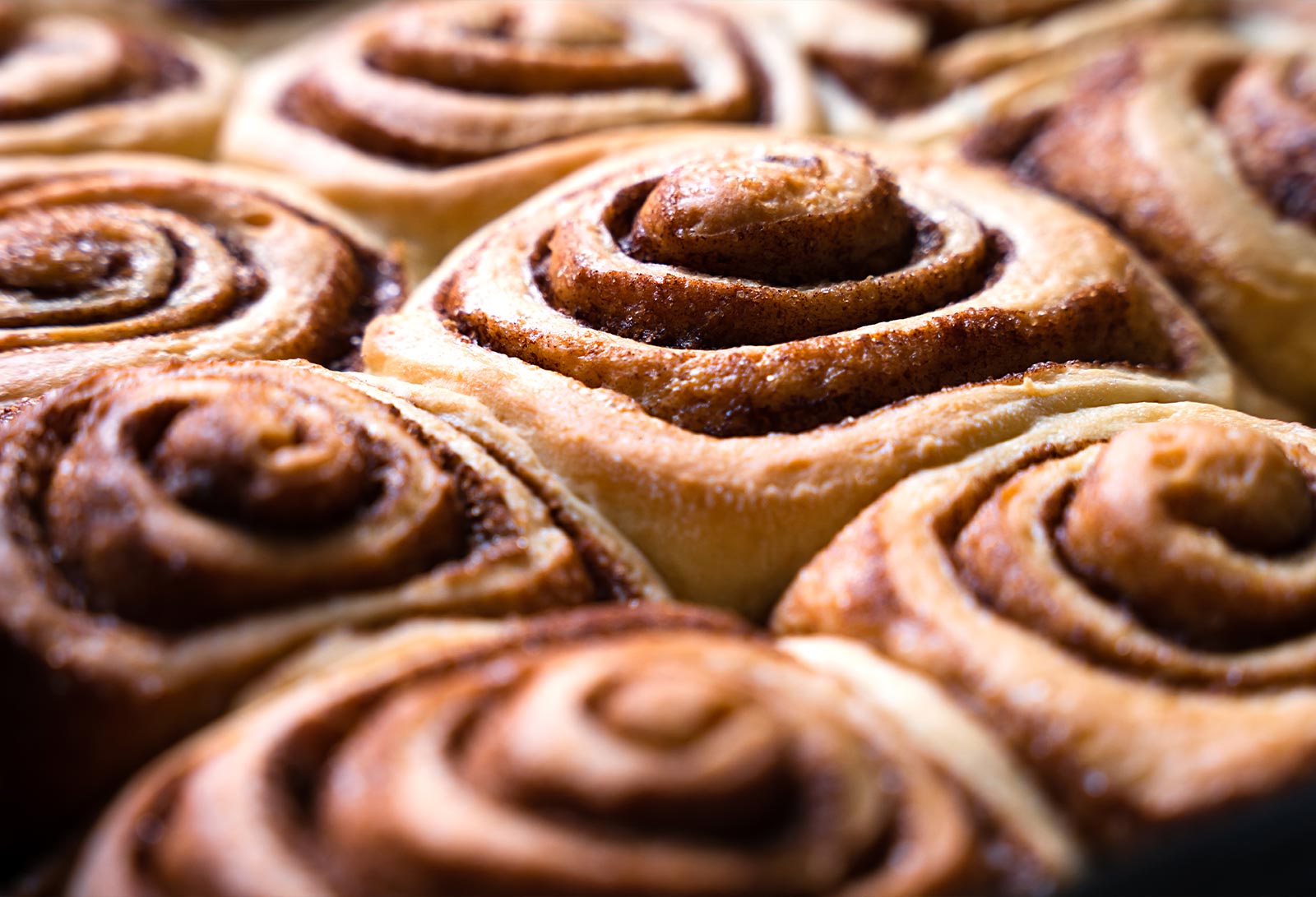 Sweet Success in Wholesale Bakeries Shop with Nice & Sweet LA Sweet Success in Wholesale Bakeries Shop with Nice & Sweet LA