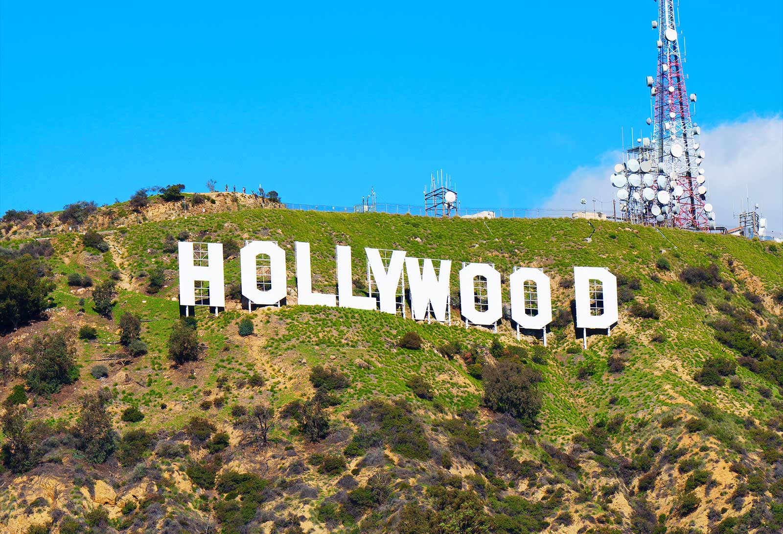 Your Sweet Escape at Nice & Sweet Bakery Hollywood Your Sweet Escape at Nice & Sweet Bakery Hollywood